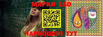 шишки Усть-Илимск
